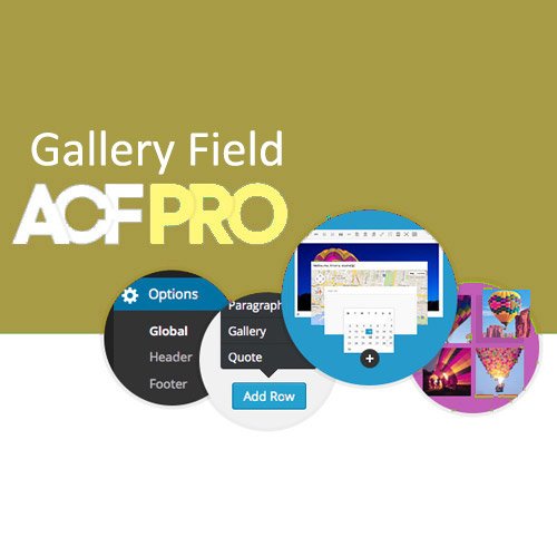 Advanced Custom Fields Gallery Field