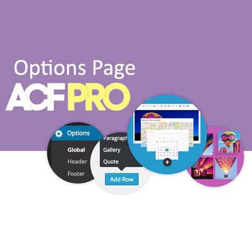 Advanced Custom Fields Options Page
