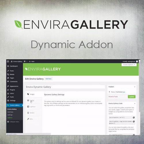 Envira Gallery Dynamic Addon