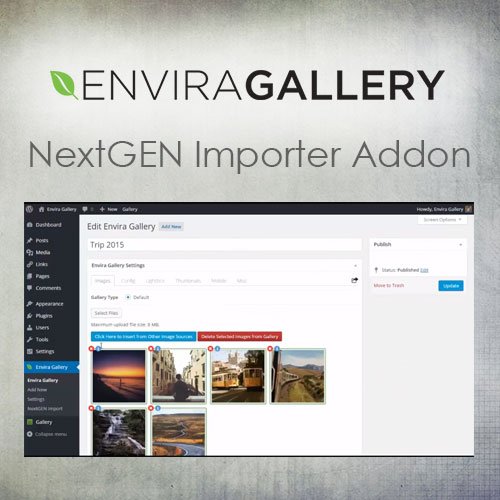 Envira Gallery NextGEN Importer Addon