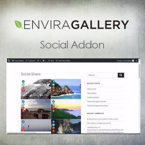 Envira Gallery Social Addon