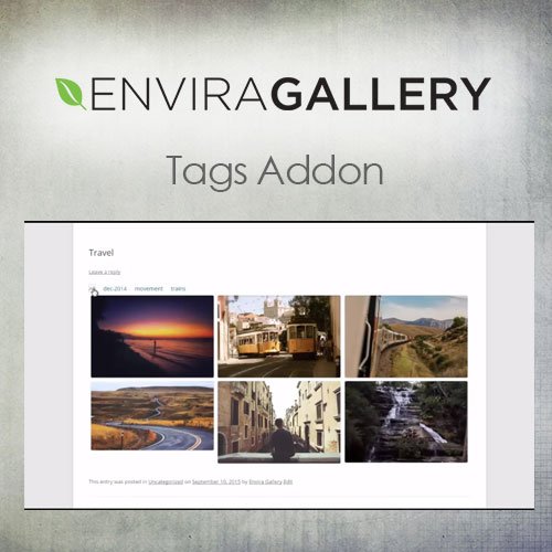Envira Gallery Tags Addon